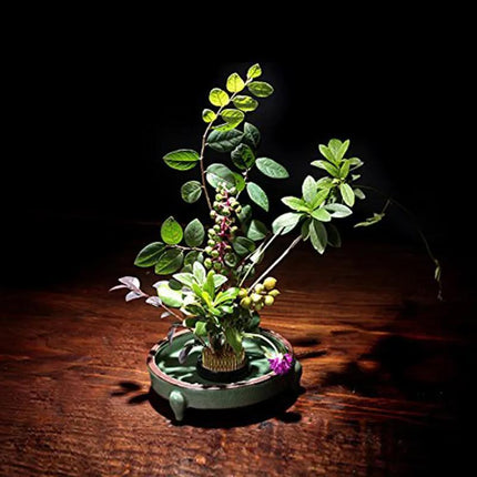 Round Flower Base Holder Spiky Frog Fixed Tool Floral Arrange For Ikebana Kenzan - Aimall