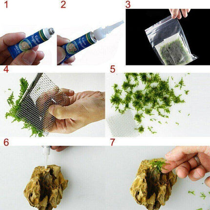 Aquarium Glue Adhesive Glue Aquatic Plant wood Moss Coral Sea Freshwater 5g - Aimall