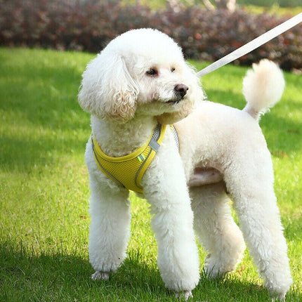 Pet Dog Harness Adjustable Reflective Breathable Outdoor Collars Strap Cat Leash - Aimall
