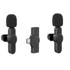 Type-C (Two Microphones)