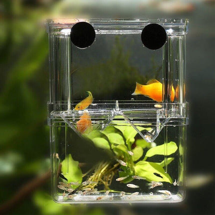 Fish Breeding Box for Tank Multifunctional Incubator Isolation Aquarium - Aimall