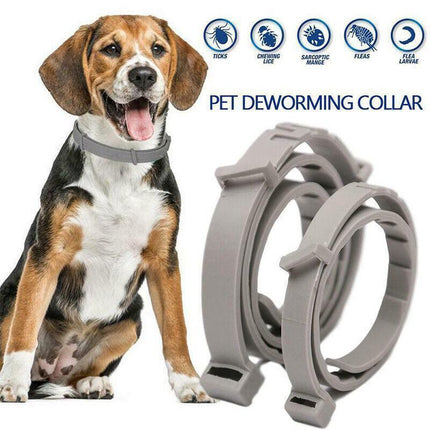 Adjustable Pet Anti Flea Tick Neck Collar for Dog Cat Kitten 8 Months Protect*AU - Aimall