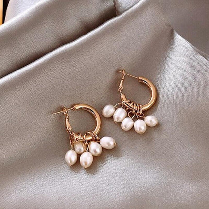 Silver Women Earrings Stud Crystal Cubic Zircon Dangle Wedding Gift AU Stock - Aimall