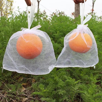 10/50X Fruit Net Bags Agriculture Garden Vegetable Protection Mesh Insect Proof - Aimall