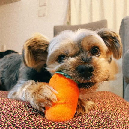 Carrots Plush Dog Toy Encourage Natural Foraging Skill Durable Interactives Dog - Aimall