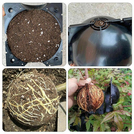 10Pcs Plant Rooting High Pressure Propagation Ball Root Grow Grafting Box AU - Aimall