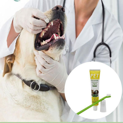 1X Pet Dog Cat Cleaning Toothpaste+Toothbrush+ Back Up Brush Set Vanilla Flavour - Aimall