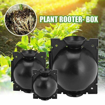 10Pcs Plant Rooting High Pressure Propagation Ball Root Grow Grafting Box AU - Aimall