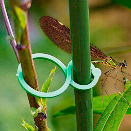 100pcs Garden Plant Clip Reusable Fruits Tomato Vine Grow Support Holder Straps - Aimall