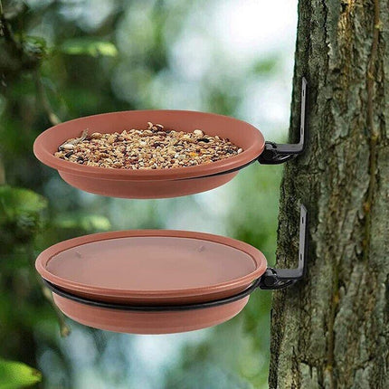 Hanging Bird Feeder in a Garden Setting