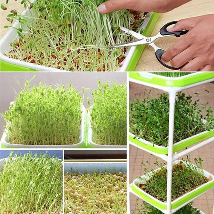 Microgreens tray, Seeding Cloning Hydroponic Germination Bean Sprout Planting AU - Aimall