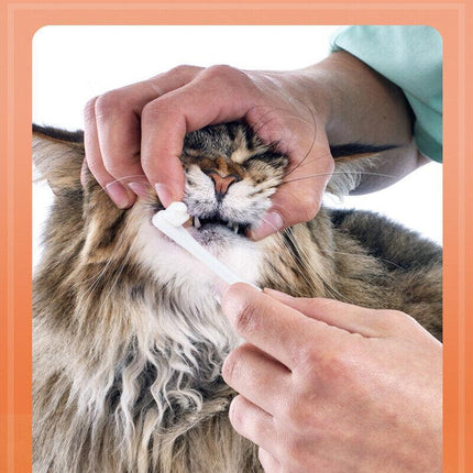 1PC Pet Dog Cat Cleaning Toothpaste+ Toothbrush+ BackUp Brush Set Vanilla Flavor - Aimall