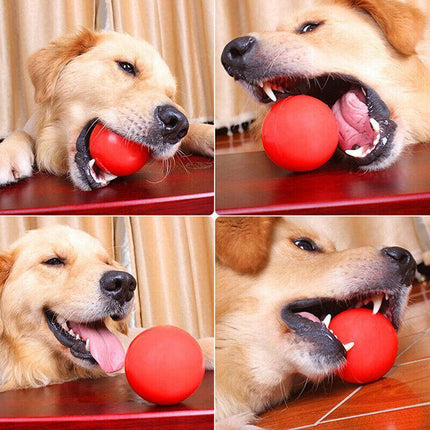 2PCS Solid Floating Training Rubber Ball Pet Puppy Dog Chew Play Fetch Bite Toy - Aimall