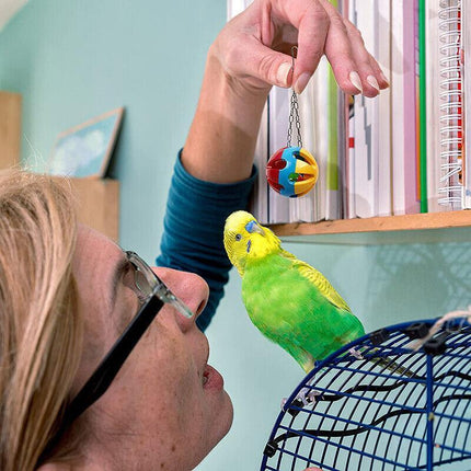 10PCS Bird Toys Parrot Swing Toys Chewing Hanging Bell Cockatiel Cage Toy Set AU - Aimall