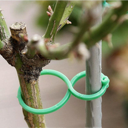 100pcs Garden Plant Clip Reusable Fruits Tomato Vine Grow Support Holder Straps - Aimall