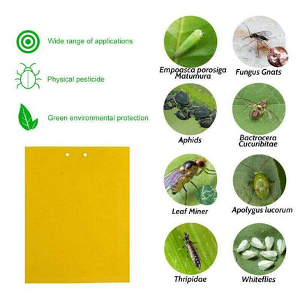 Up 60 pc Yellow Sticky paper Insect Trap Catcher Killer Fly Aphids Wasp AU - Aimall