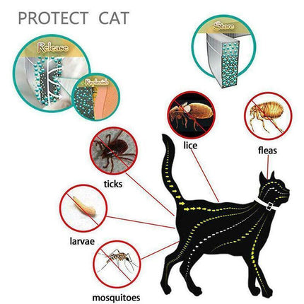 Adjustable Pet Anti Flea Tick Neck Collar for Dog Cat Kitten 8 Months Protect*AU - Aimall
