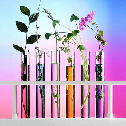 50/100X Clear Plastic Test Tube With Wooden Cork Stopper Wedding Favors Bottles - Aimall
