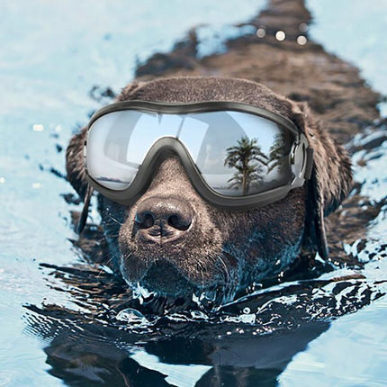 Fashion Pet Dog Doggles Goggles UV Sunglasses Sun Glasses Eye Wear Protection - Aimall
