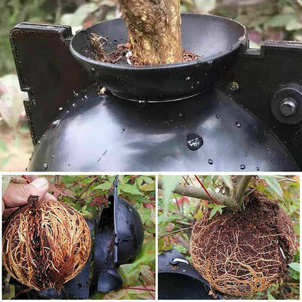 10Pcs Plant Rooting High Pressure Propagation Ball Root Grow Grafting Box AU - Aimall