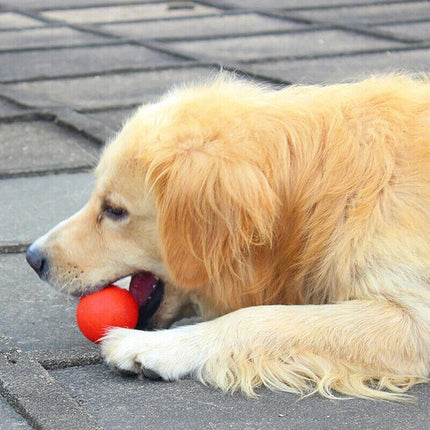 2PCS Solid Floating Training Rubber Ball Pet Puppy Dog Chew Play Fetch Bite Toy - Aimall