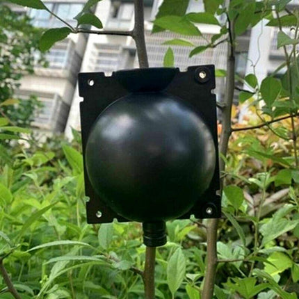 10Pcs Plant Rooting High Pressure Propagation Ball Root Grow Grafting Box AU - Aimall