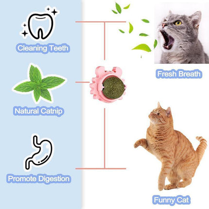 Interactive Catnip Mint Ball Toy for Kittens