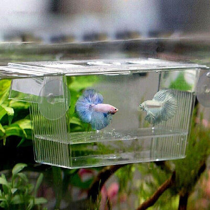 Large Breeding Aquarium Fish Tank Guppy Hatchery Breeder Rearing Isolation Box - Aimall