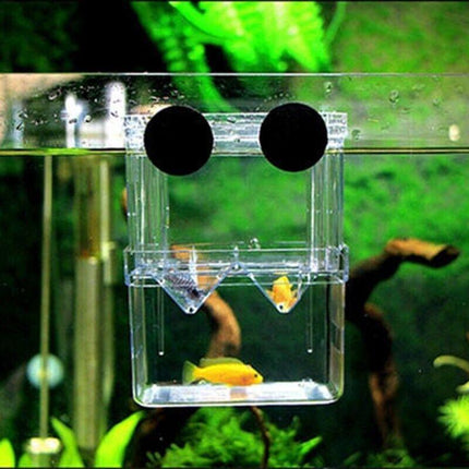 Fish Breeding Box for Tank Multifunctional Incubator Isolation Aquarium - Aimall