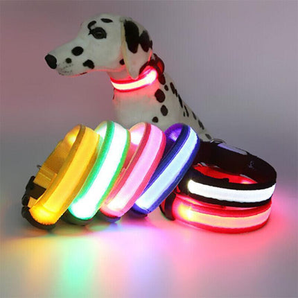 USB Rechargeable LED Dog Collar Nylon Glow Flashing Light Up Pet Safety Collars - Aimall