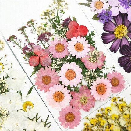 12-35PCS Real Dried Pressed Flowers Leaves For Art Craft Card Resin Candle - Aimall