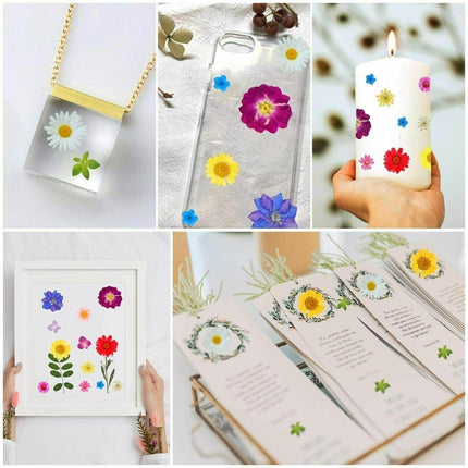 12-35PCS Real Dried Pressed Flowers Leaves For Art Craft Card Resin Candle - Aimall