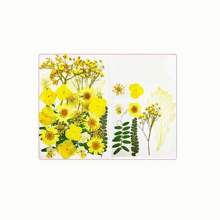 12-35PCS Real Dried Pressed Flowers Leaves For Art Craft Card Resin Candle - Aimall