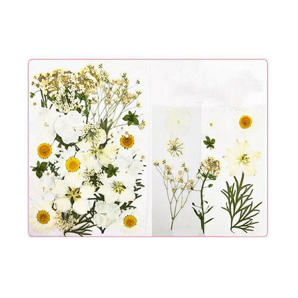 12-35PCS Real Dried Pressed Flowers Leaves For Art Craft Card Resin Candle - Aimall