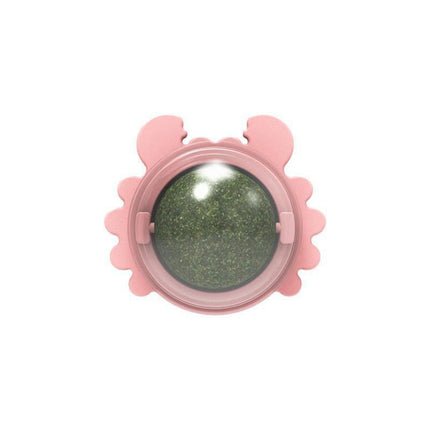 Interactive Catnip Mint Ball Toy for Kittens
