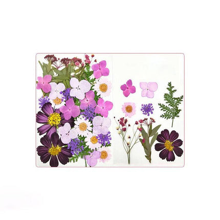 12-35PCS Real Dried Pressed Flowers Leaves For Art Craft Card Resin Candle - Aimall