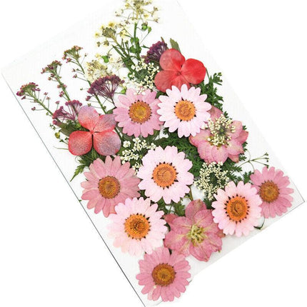 12-35PCS Real Dried Pressed Flowers Leaves For Art Craft Card Resin Candle - Aimall