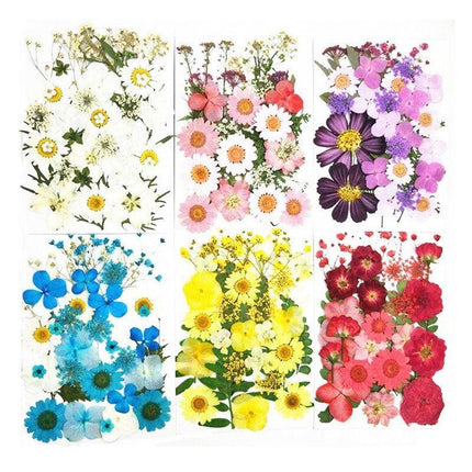 12-35PCS Real Dried Pressed Flowers Leaves For Art Craft Card Resin Candle - Aimall
