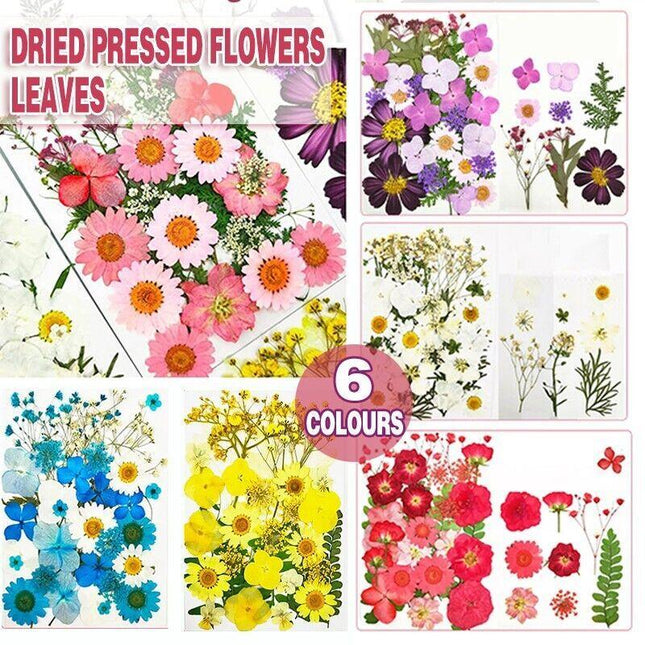 12-35PCS Real Dried Pressed Flowers Leaves For Art Craft Card Resin Candle - Aimall