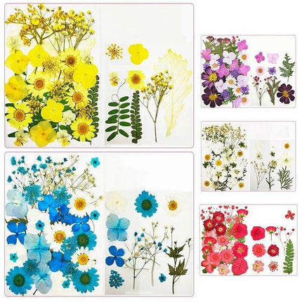 12-35PCS Real Dried Pressed Flowers Leaves For Art Craft Card Resin Candle - Aimall