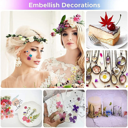 12-35PCS Real Dried Pressed Flowers Leaves For Art Craft Card Resin Candle - Aimall