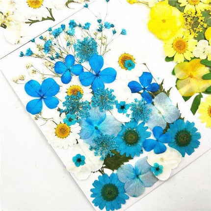 12-35PCS Real Dried Pressed Flowers Leaves For Art Craft Card Resin Candle - Aimall
