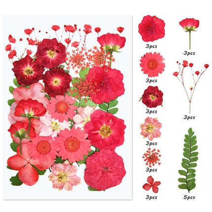 12-35PCS Real Dried Pressed Flowers Leaves For Art Craft Card Resin Candle - Aimall