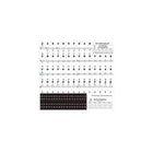 TRANSPARENT Keyboard Piano Stickers 88/61/54/49/37 KEYS Sticker Note For Learner - Aimall