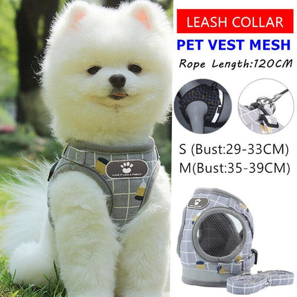 Kitten Dog Cat Walking Harness Lead Leash Collar Pet Vest Mesh Adjustable NEW AU - Aimall