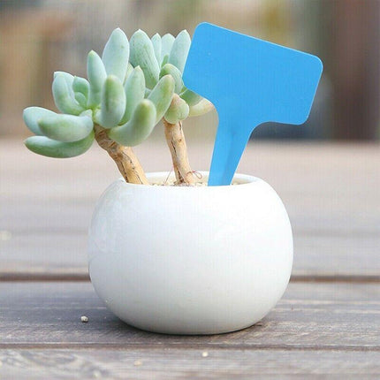 T-type Plant Labels Flexible Plastic Garden Tags Nursey Seeding Marker Pen White - Aimall