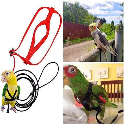 Pet Parrot Bird Harness Lead Leash Flying Training Rope Cockatiel Outdoor AU - Aimall