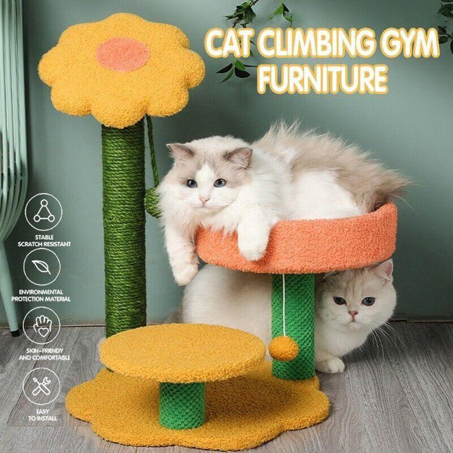 Cat Scratching Post Cactus Cat Scratcher Featuring Condo Tower House Trees Ball - Aimall