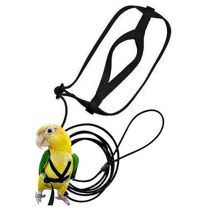 Pet Parrot Bird Harness Lead Leash Flying Training Rope Cockatiel Outdoor AU - Aimall