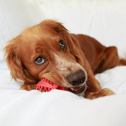 Dog Chew Toy Rubber Ball Dental Clean Teeth Healthy Food Dispenser Puppy Pet AU - Aimall